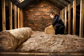 Best Insulation Removal  in Rossvle, IL